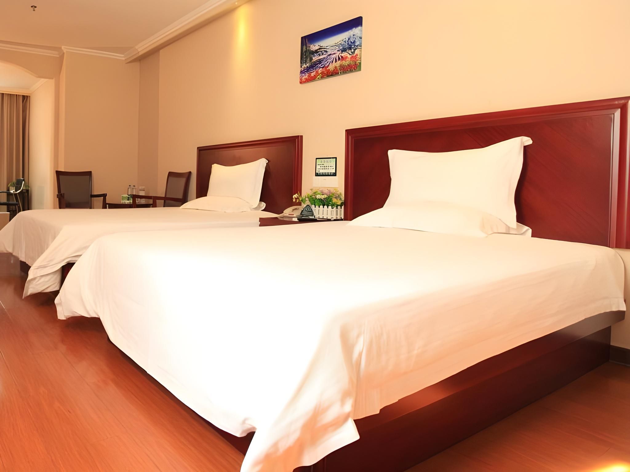 Guest Twin Room
