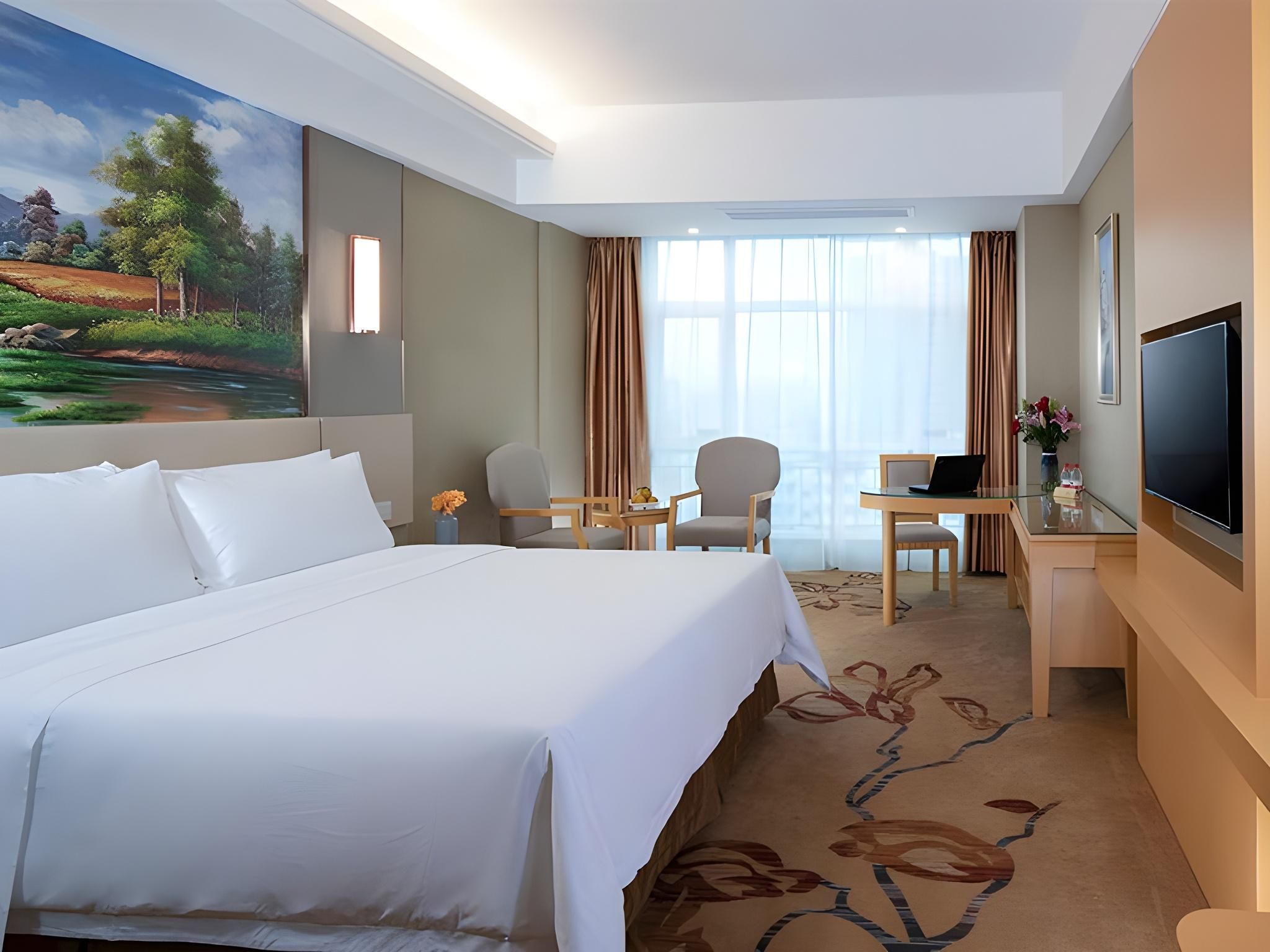 Vienna - Deluxe Room