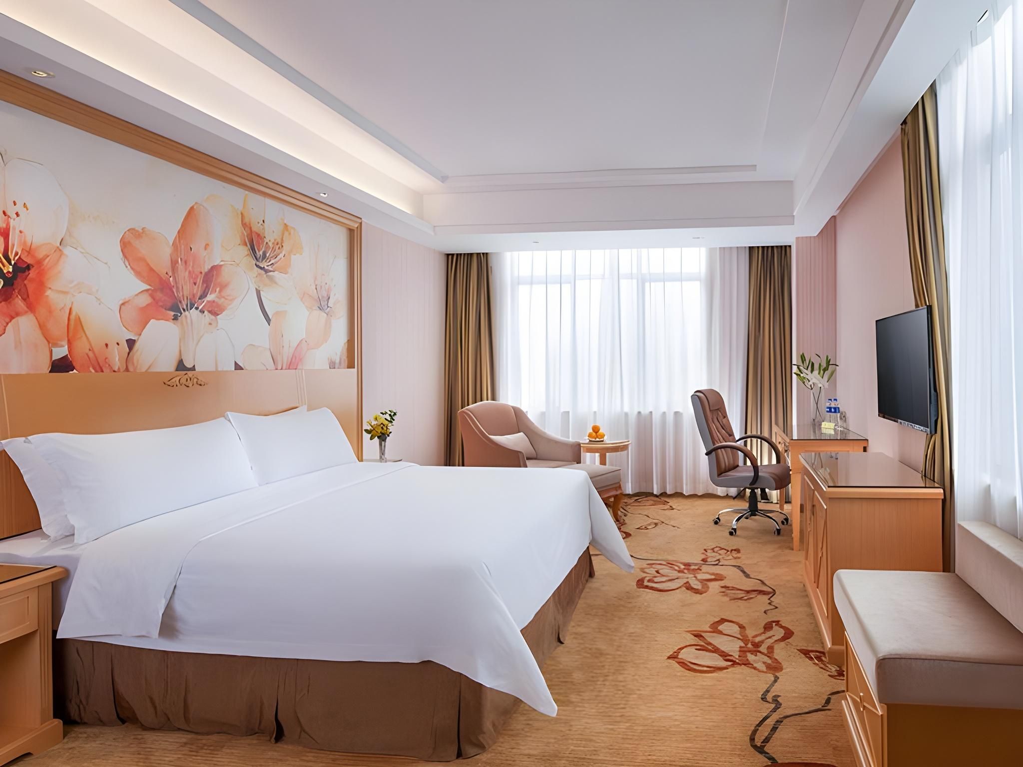 Vienna - Deluxe Room