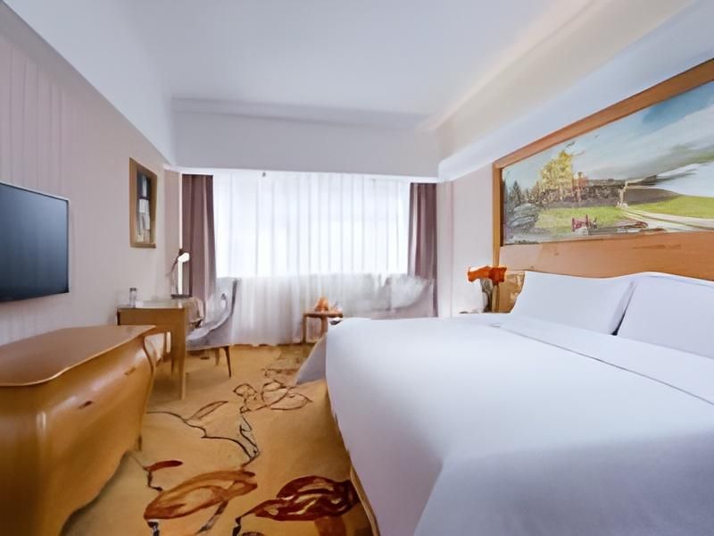 Vienna Classic Hotel Shenzhen Luohu Port Guomao Railway Station WH - Standard Room 3