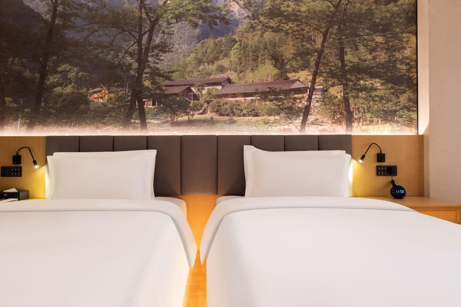 Deluxe Twin Room B  