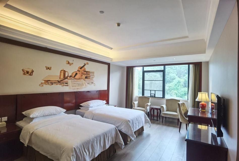 Vienna - Deluxe Room