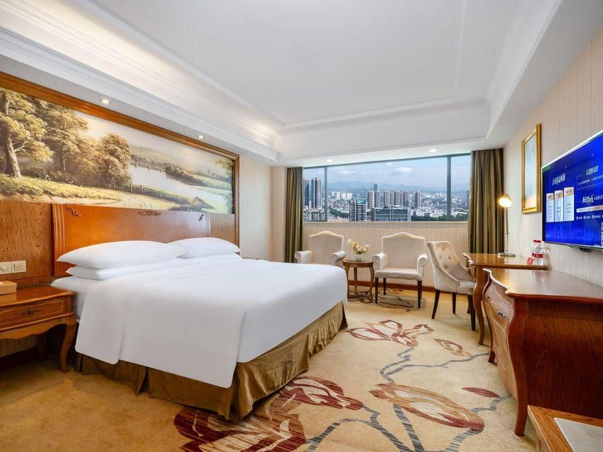 Vienna - Deluxe Room