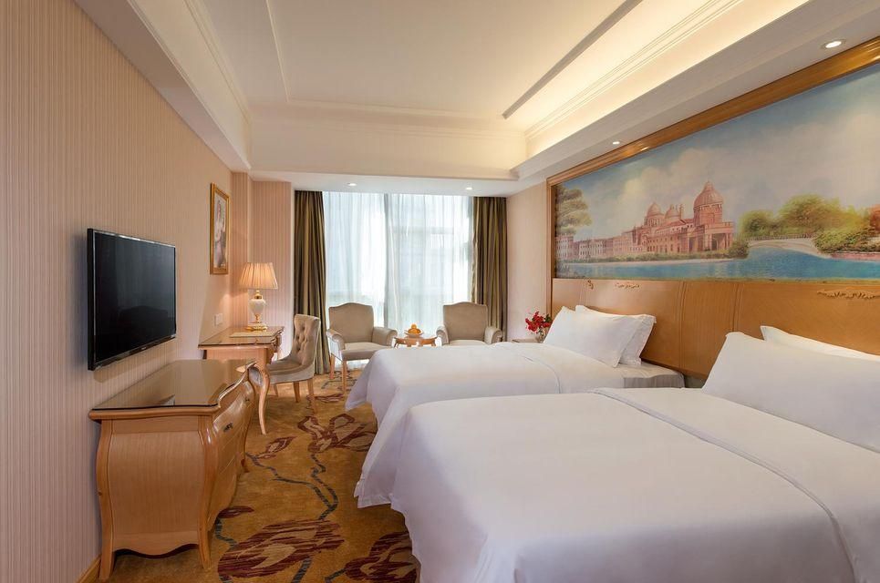 Vienna - Deluxe Room