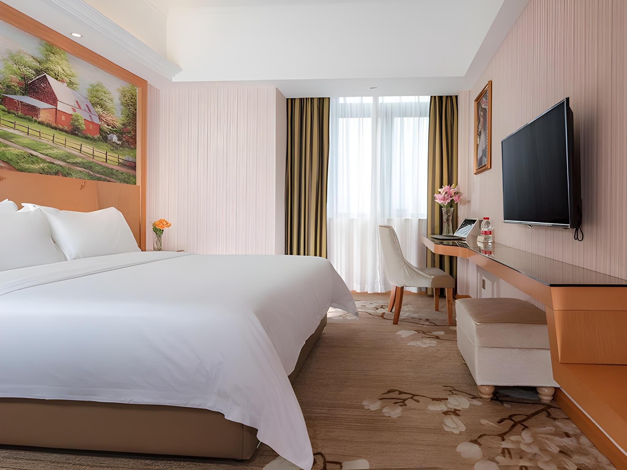 Vienna - Deluxe Room