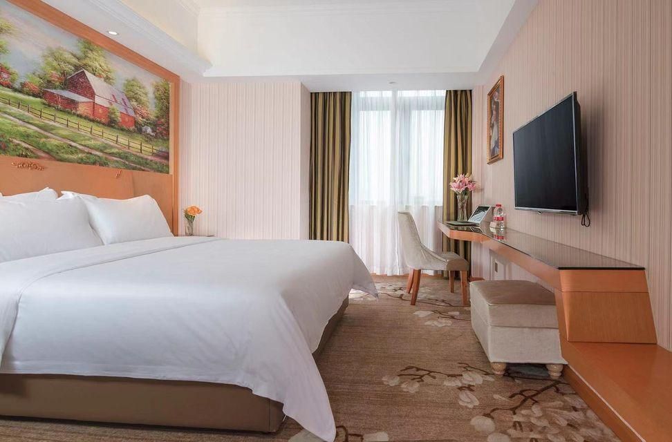 Vienna - Standard Single Room