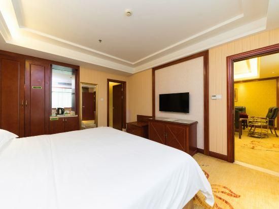 Vienna - Functional Chess Suite Room