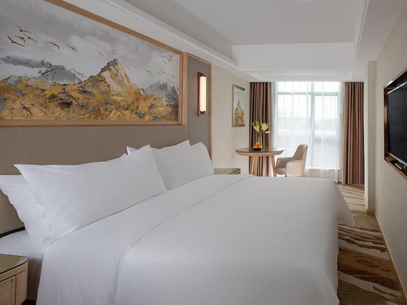 Vienna International Hotel South Gate of Shenzhen International Convention and Exhibition Center Vienna - Standard 1 Bed Room