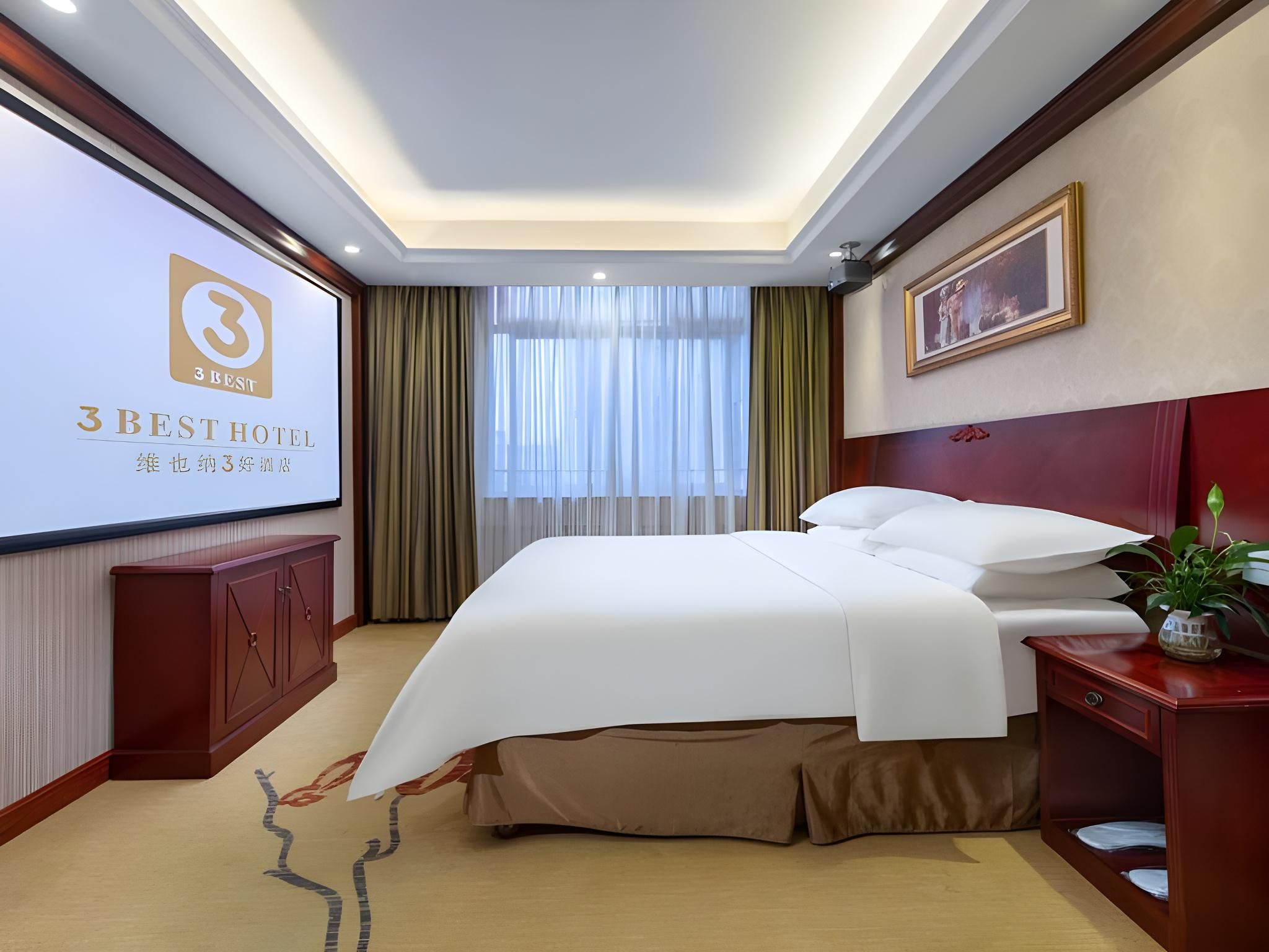 Vienna - Cinema Bed Room