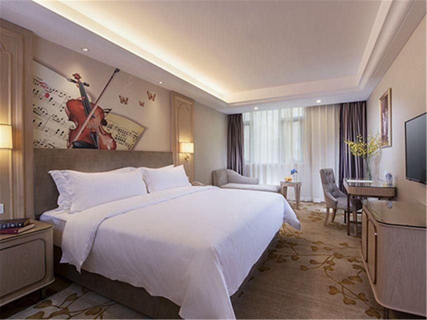 Vienna - Deluxe Room