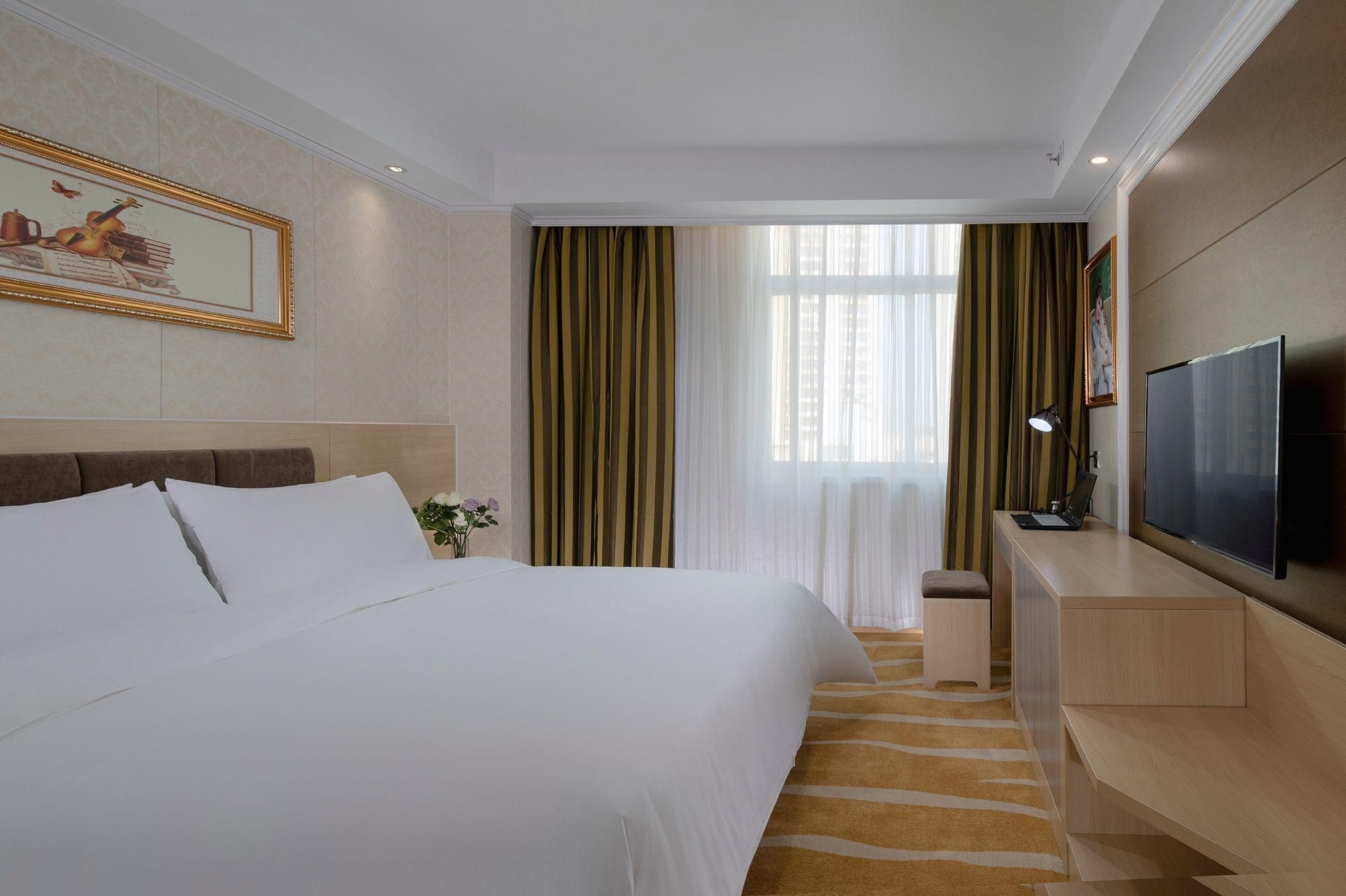 Vienna - Executive Suite