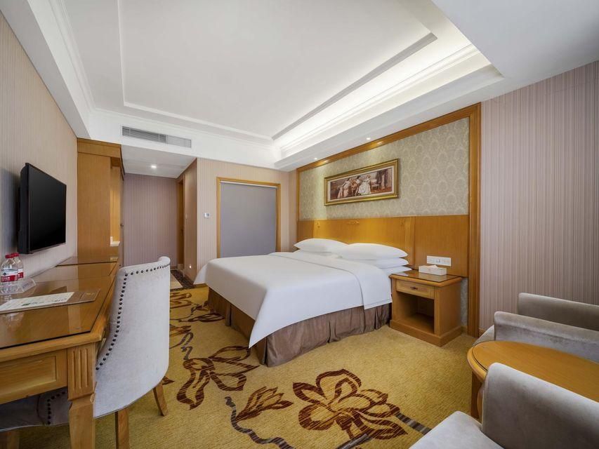 Vienna - Deluxe Room