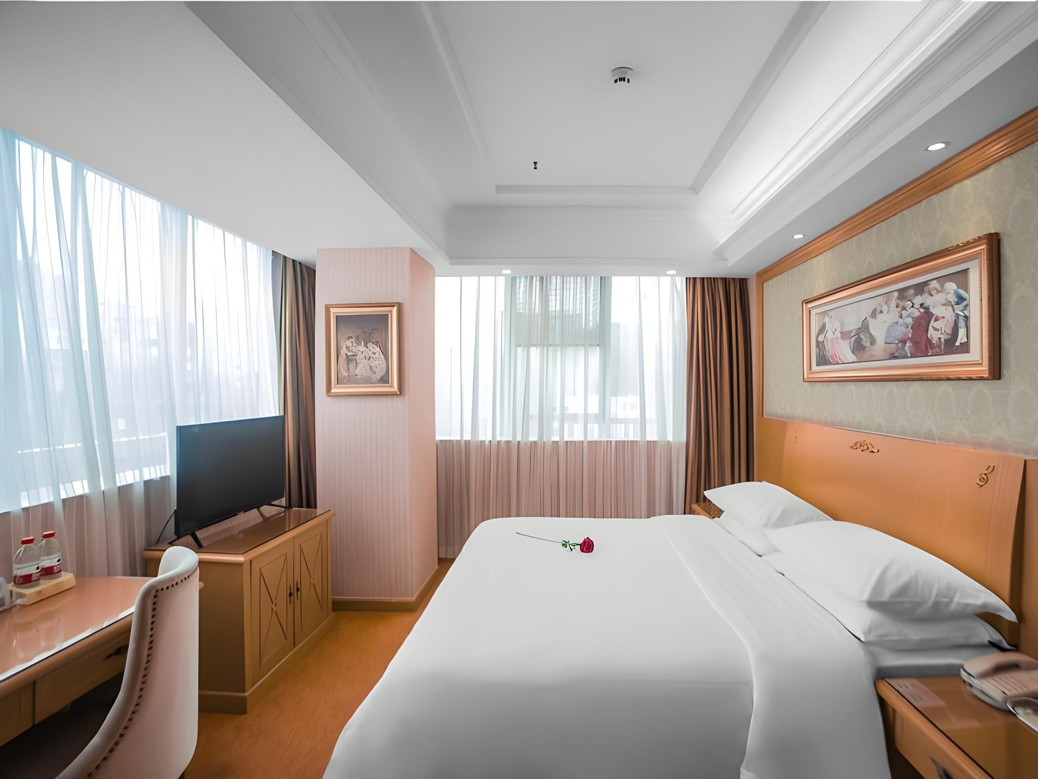 Vienna - 1 Bed Room with View
