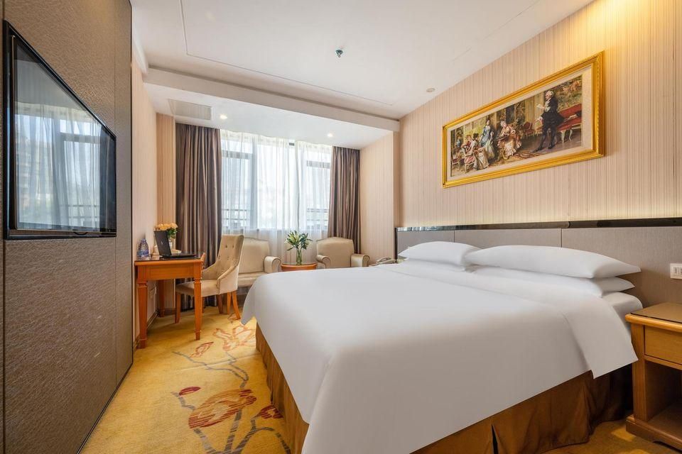 Vienna - Deluxe Room