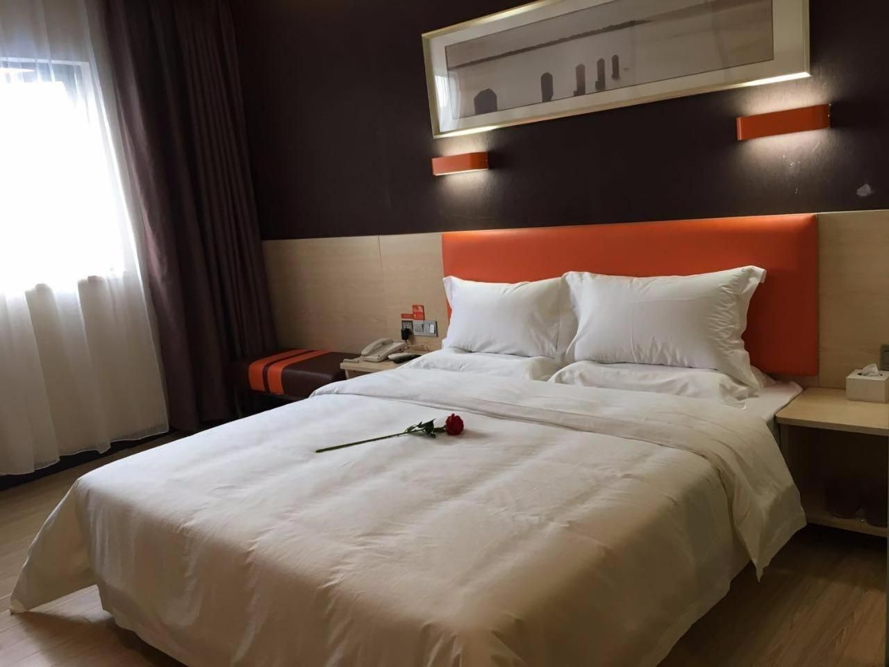 Superior Queen Room