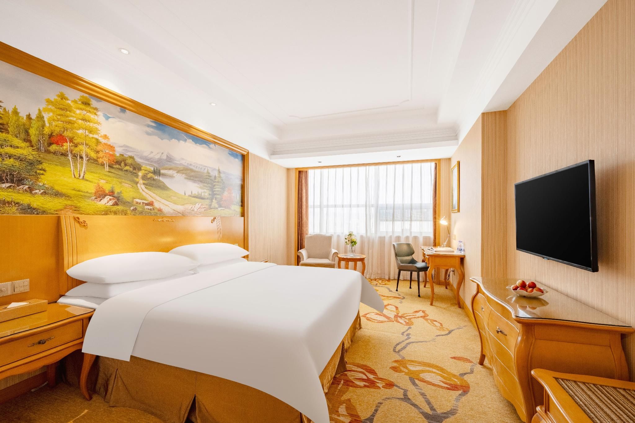 Vienna - Deluxe Room