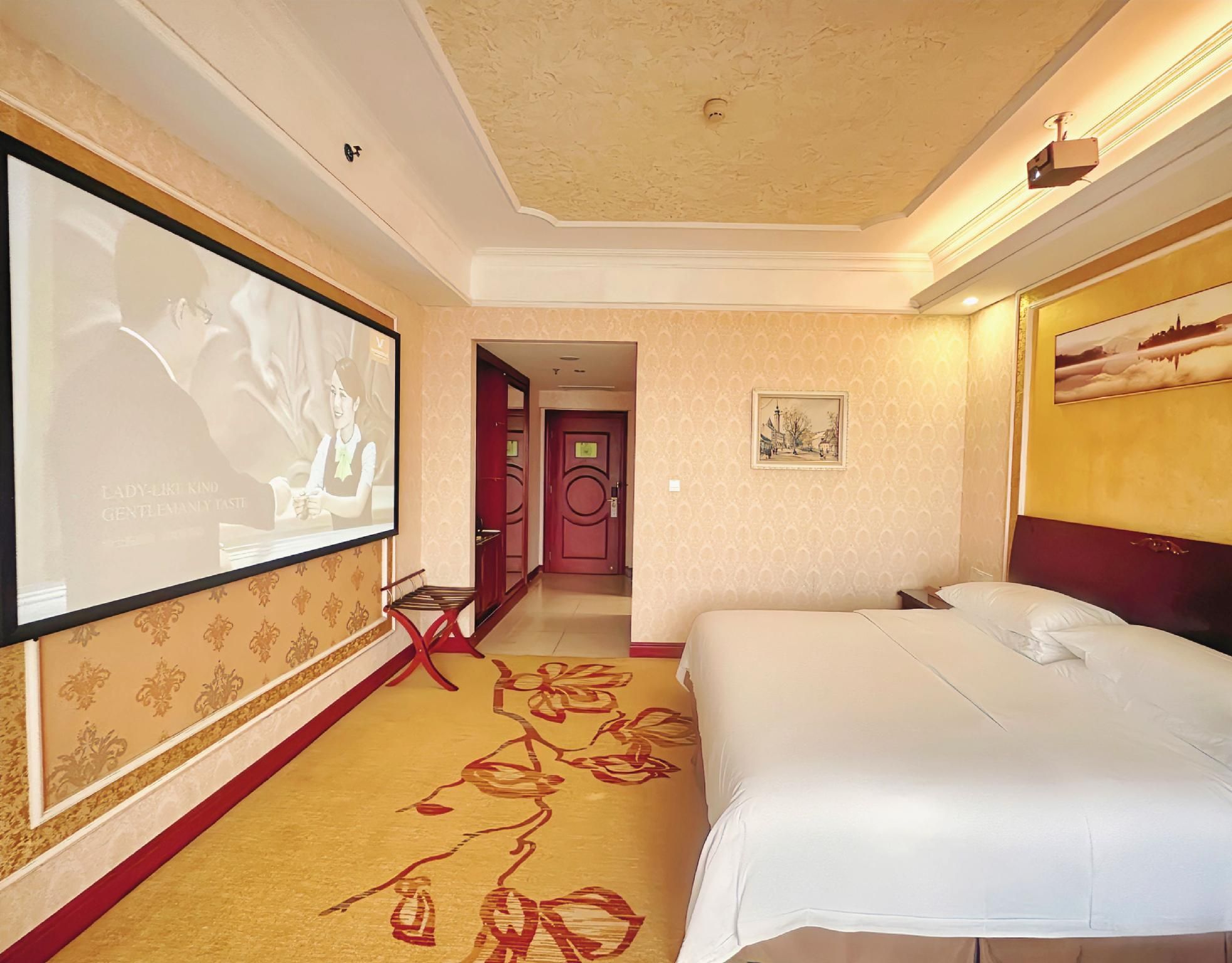 Vienna - Cinema Bed Room