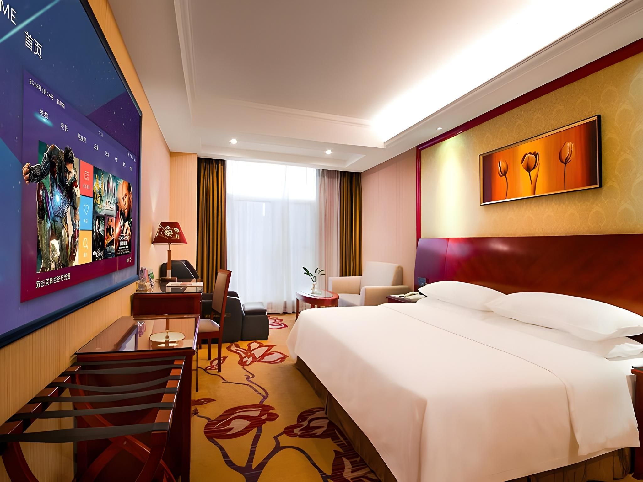 Vienna - Executive 1 Bed Room