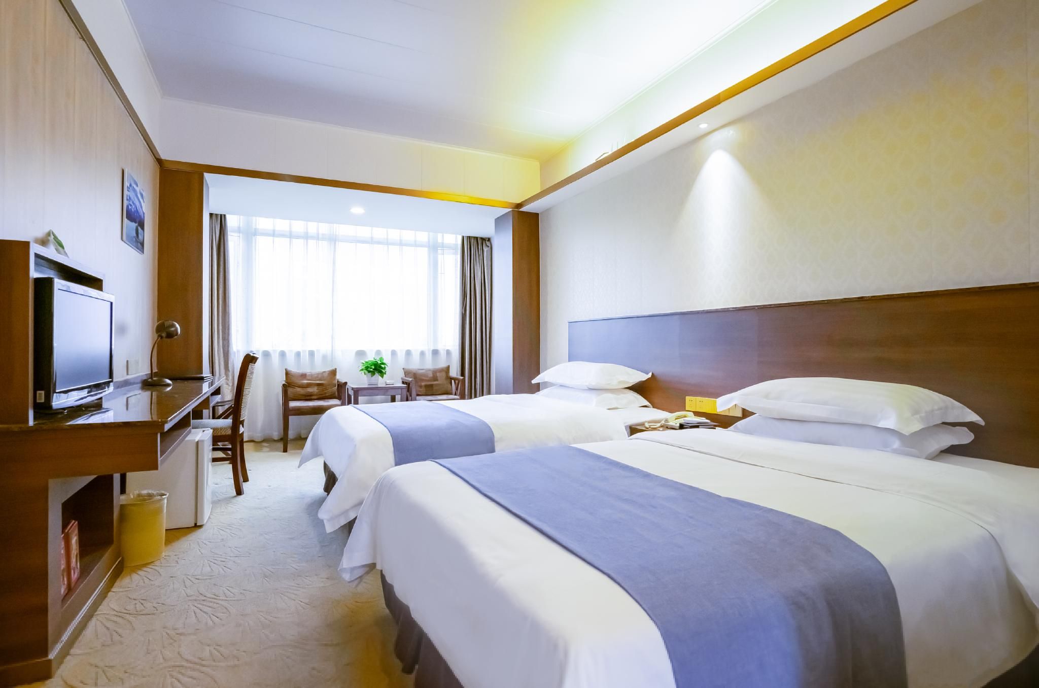 Guest Twin Room