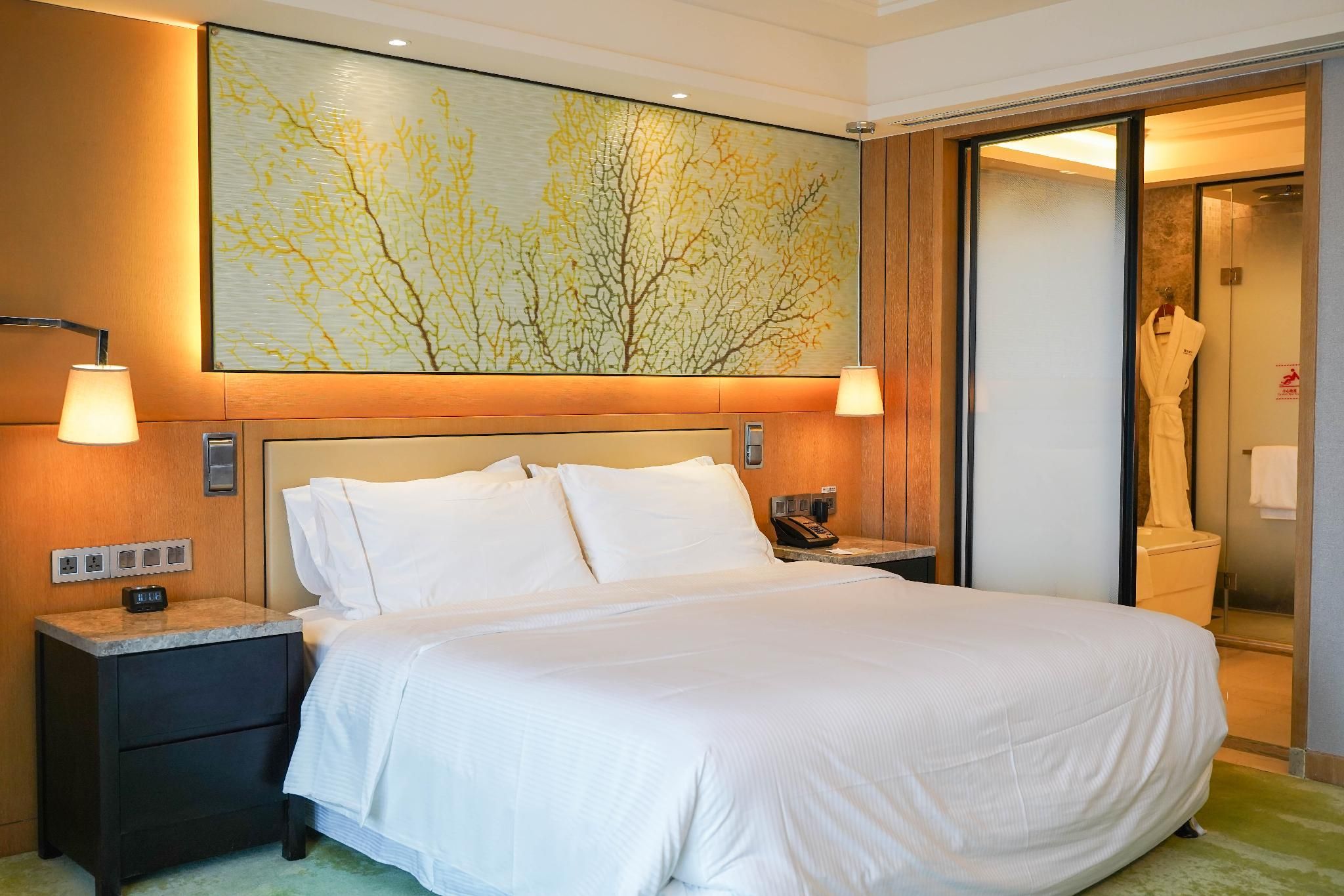 Larger Guest room, 1 King, City view