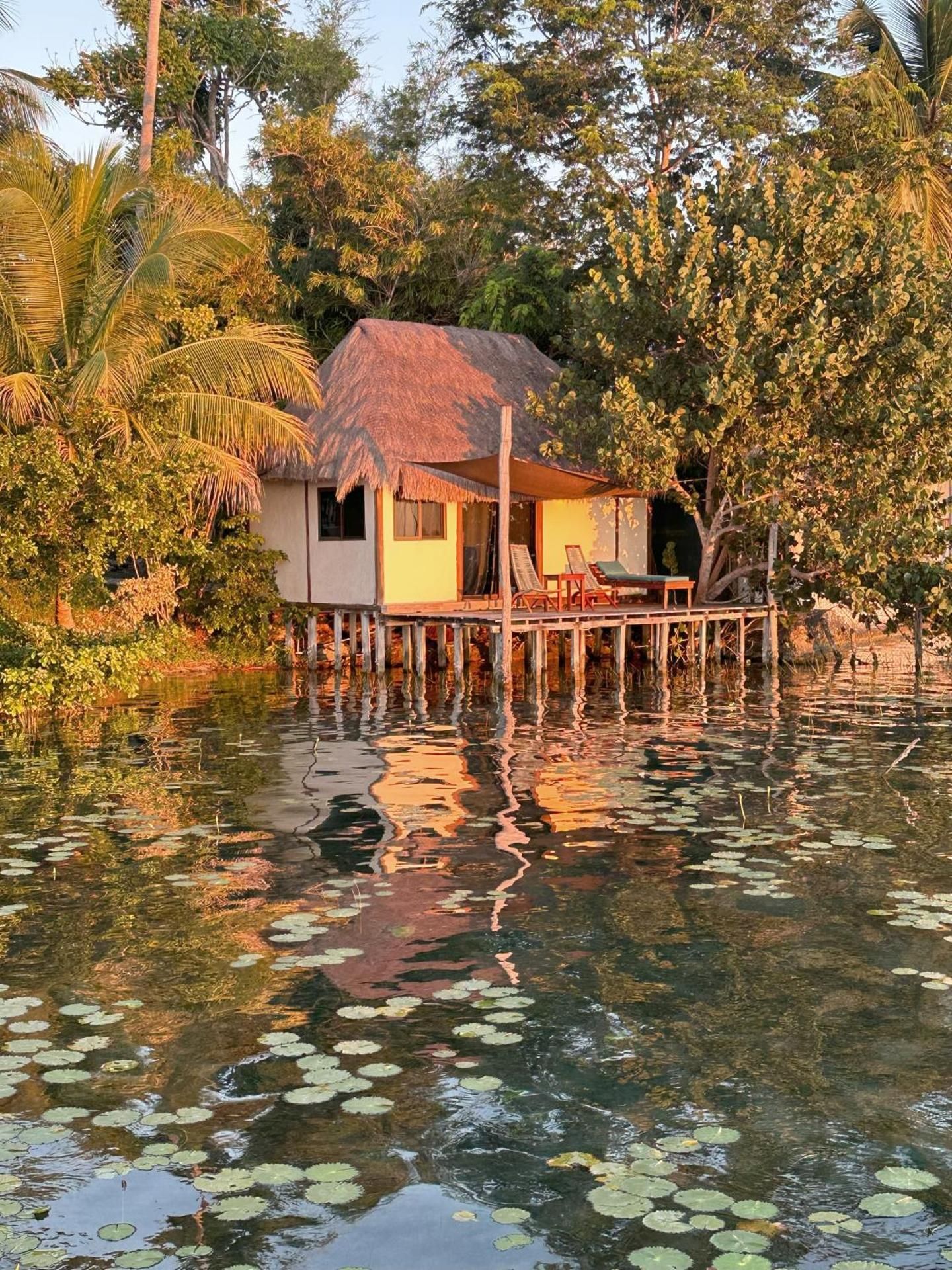 King Room with Lake View