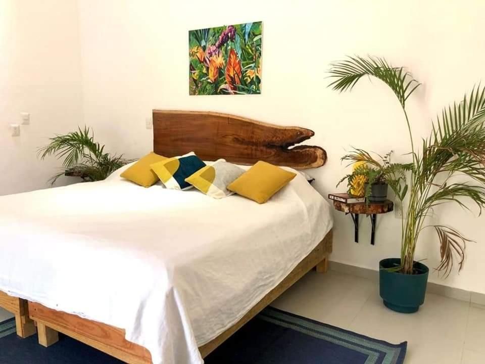Standard Queen Room