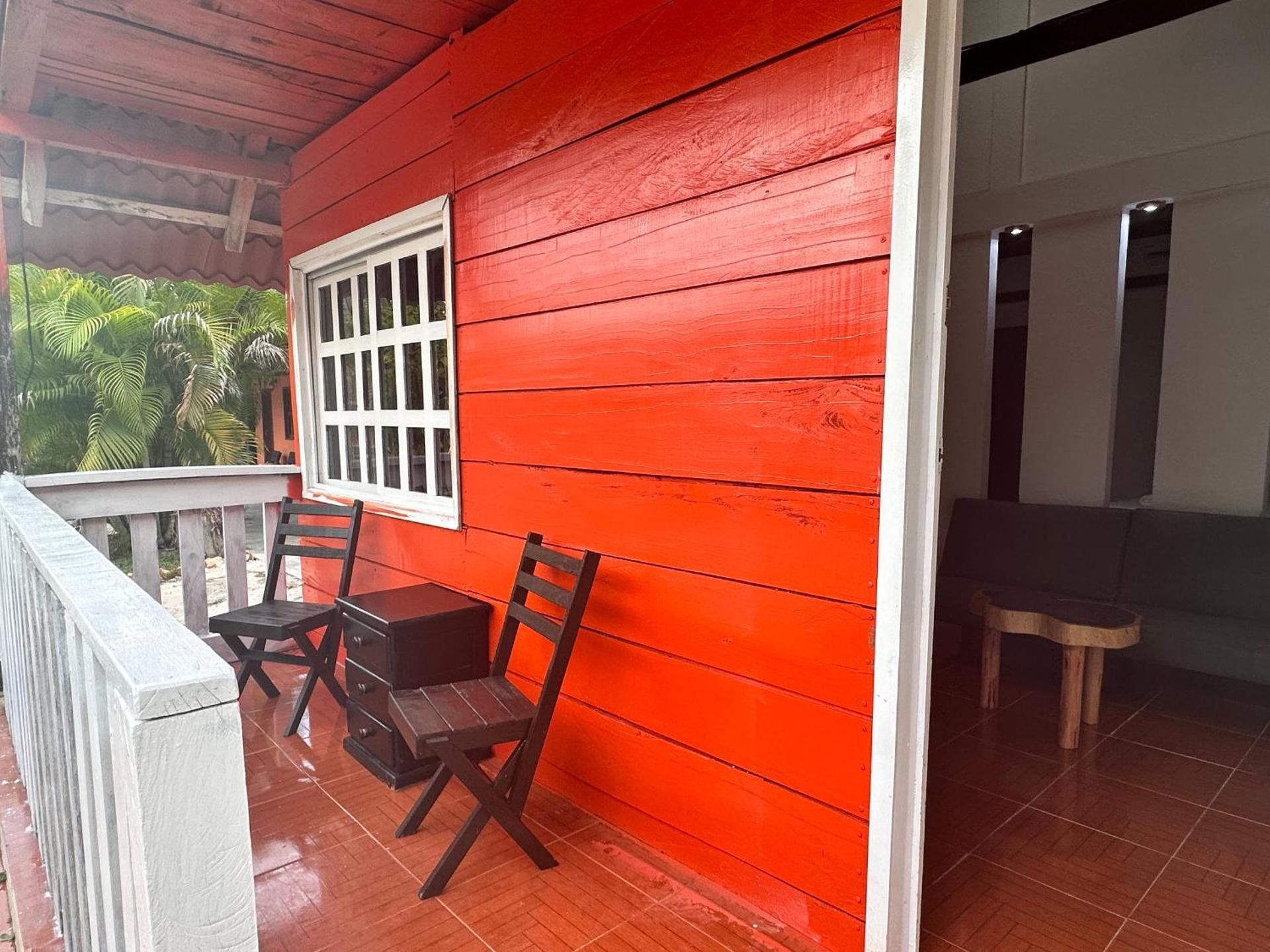 Studio with Garden View