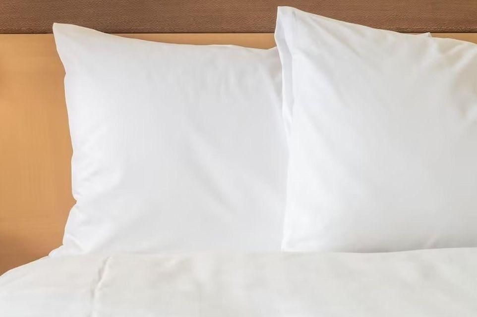 Limited Time Offer - Twin Room