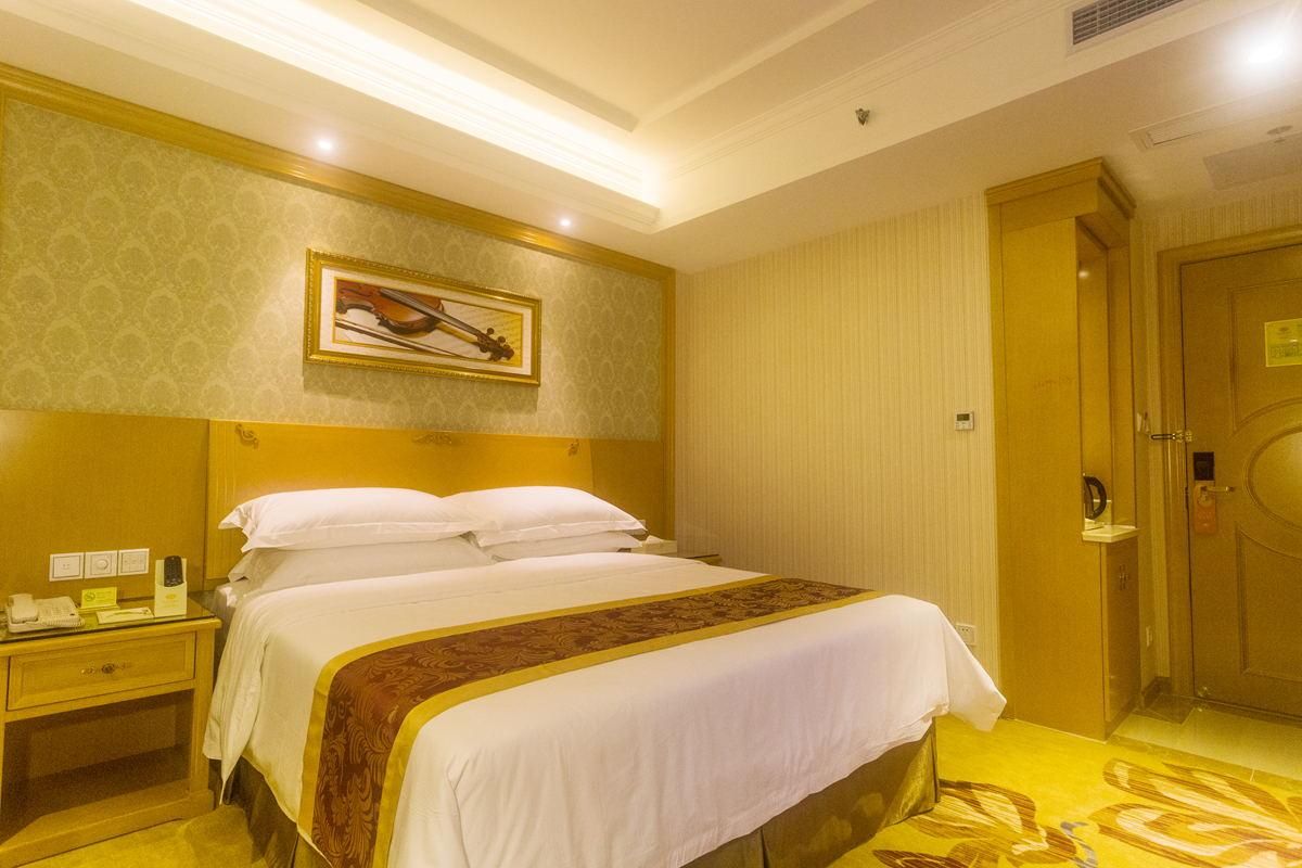 Vienna - Deluxe Room