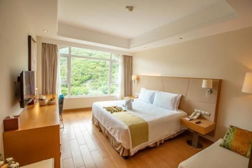 Mountain View Queen Room