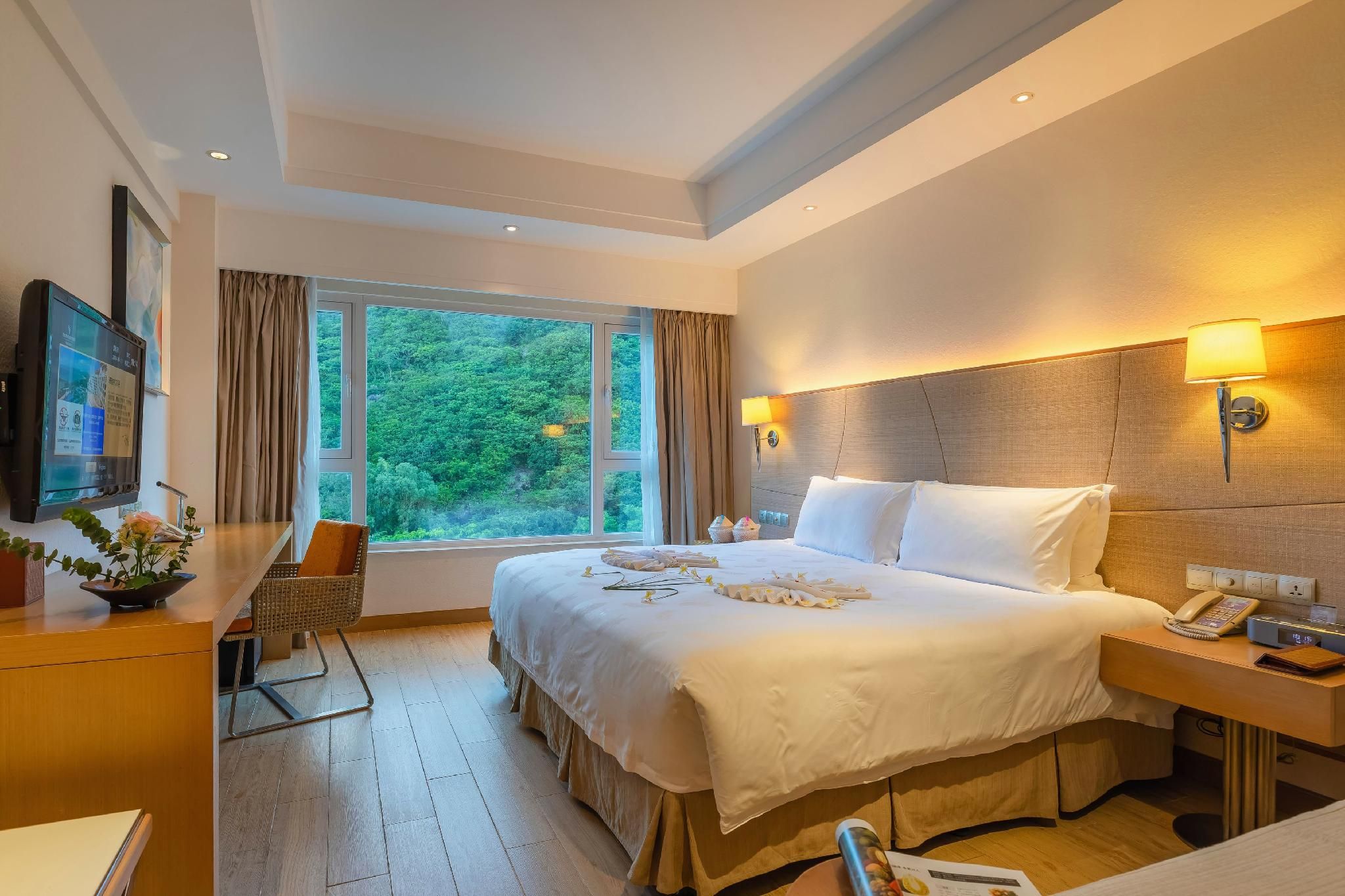 Superior Double or Twin Room with Mountain View