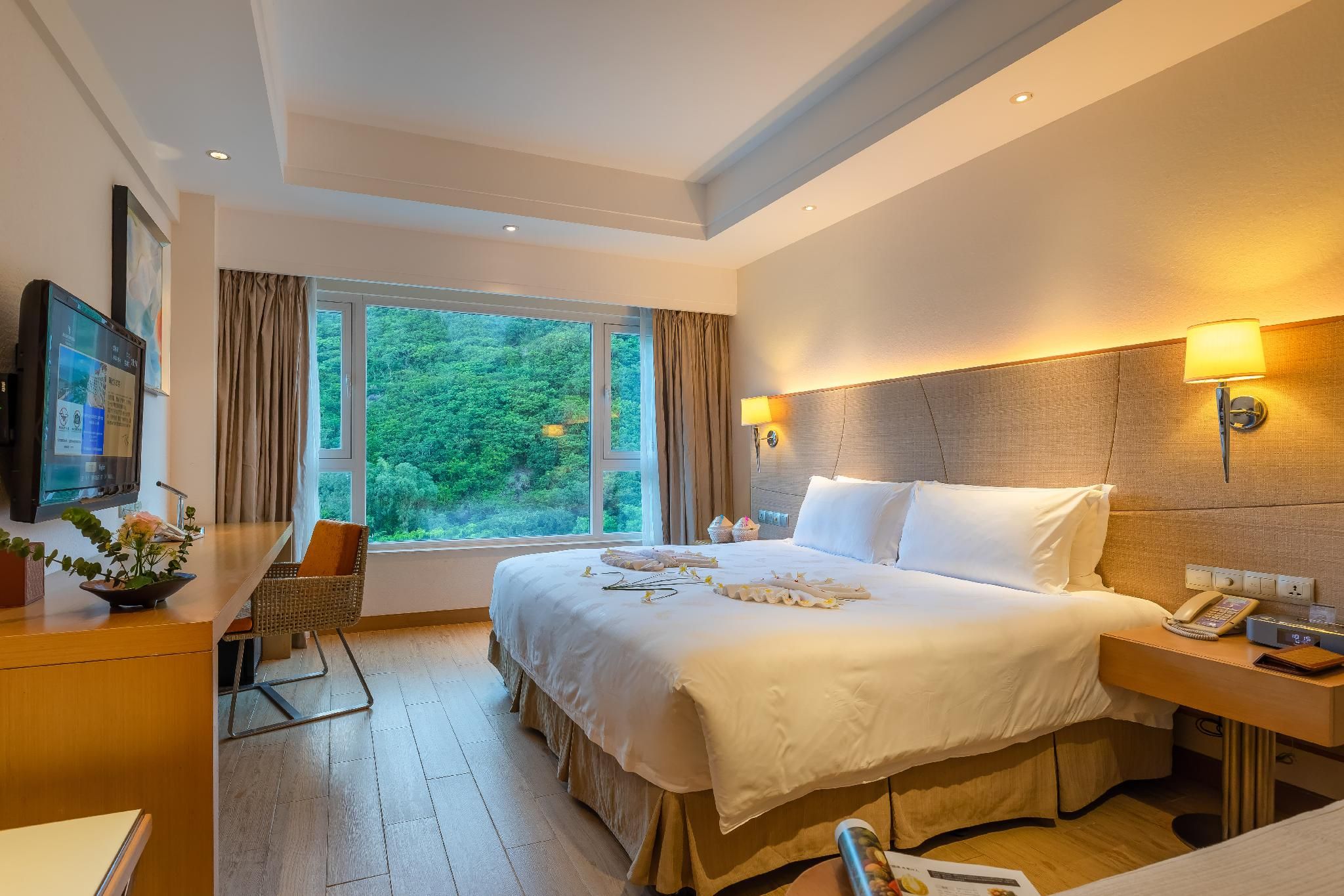 Mountain View Queen Room