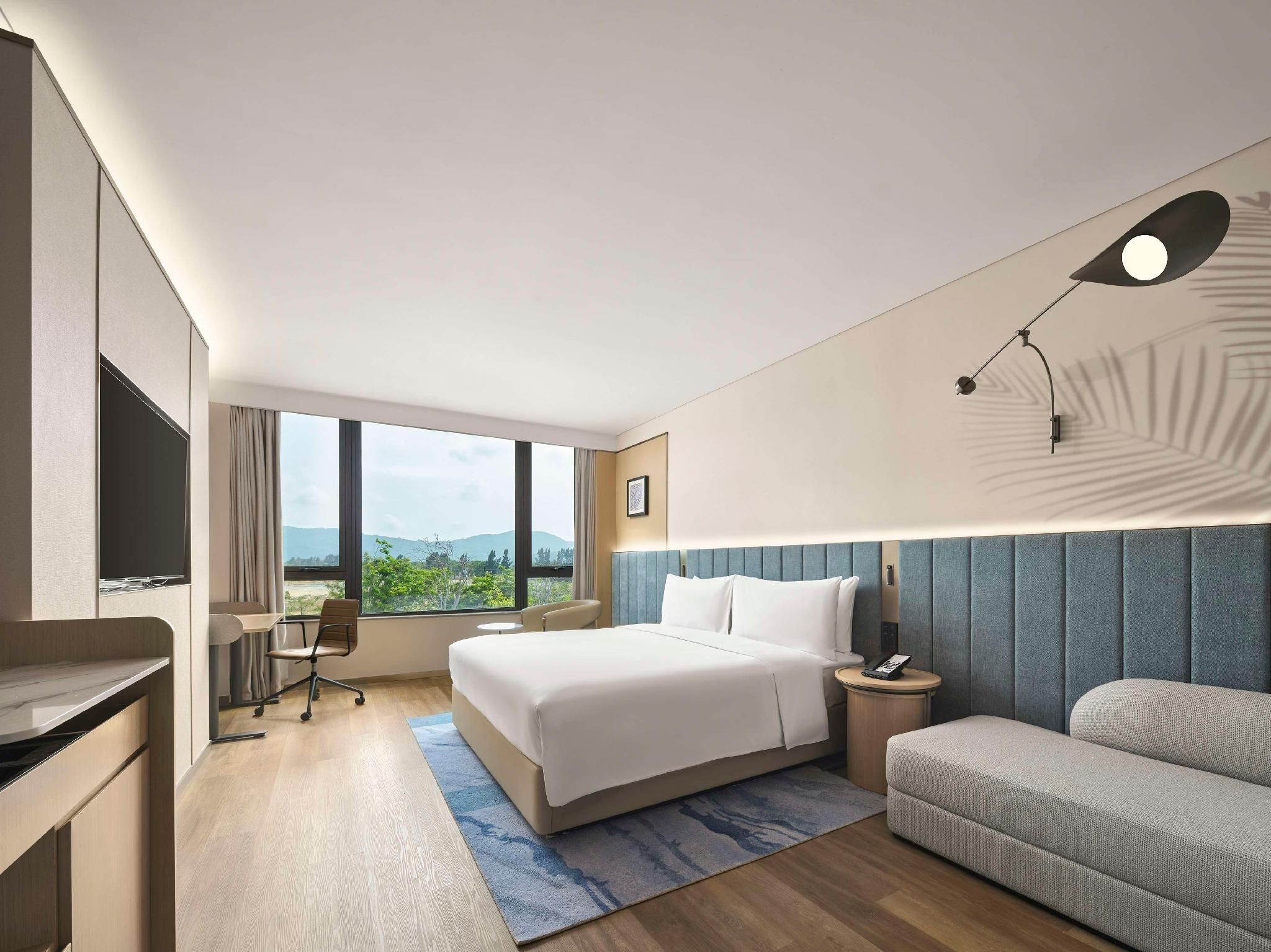 King Premier Room