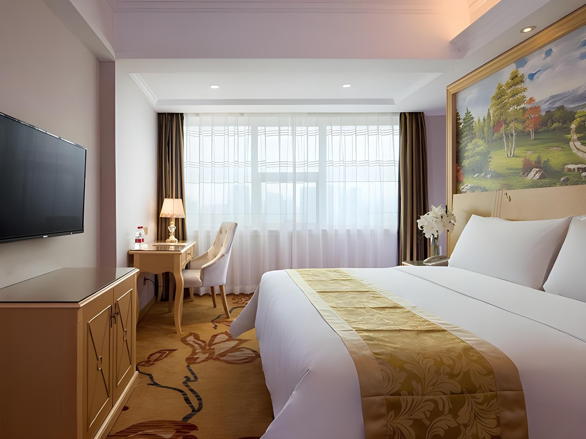 Vienna - Deluxe Room