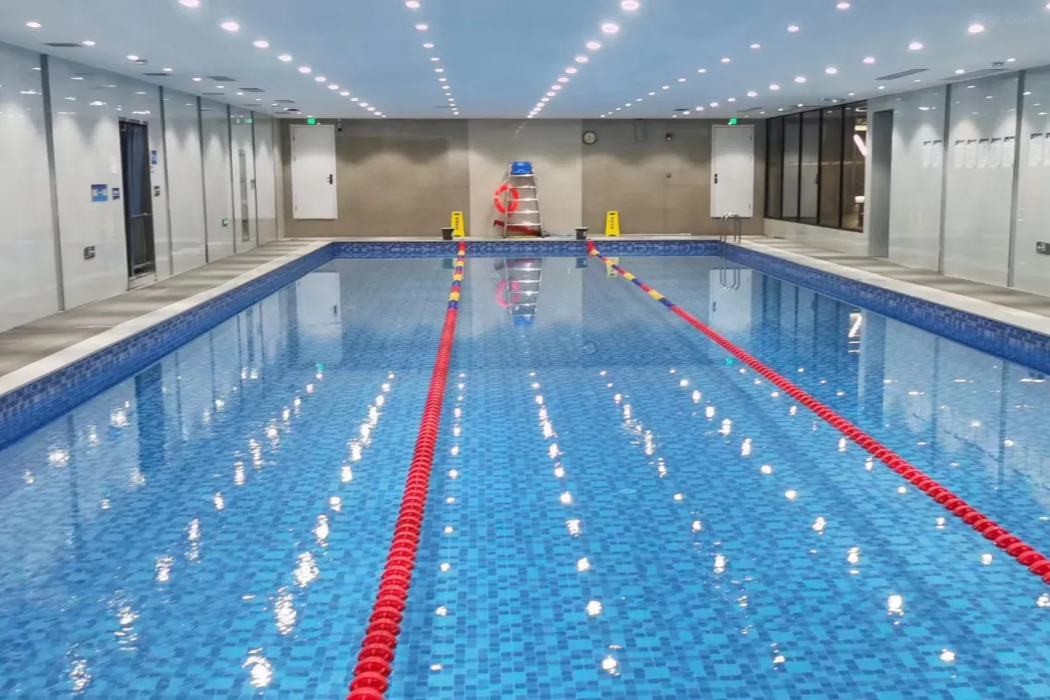 2b2052ac480ee53d6d8df82b2430232b