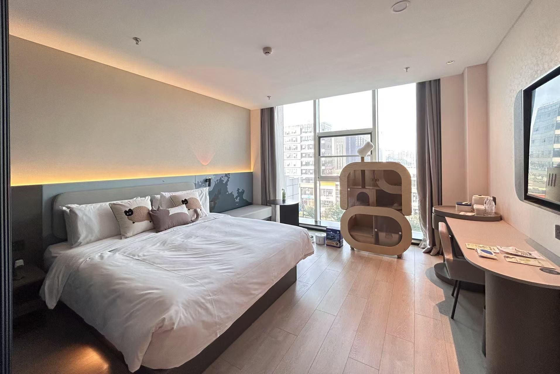 Pet Friendly - Cat Theme Room