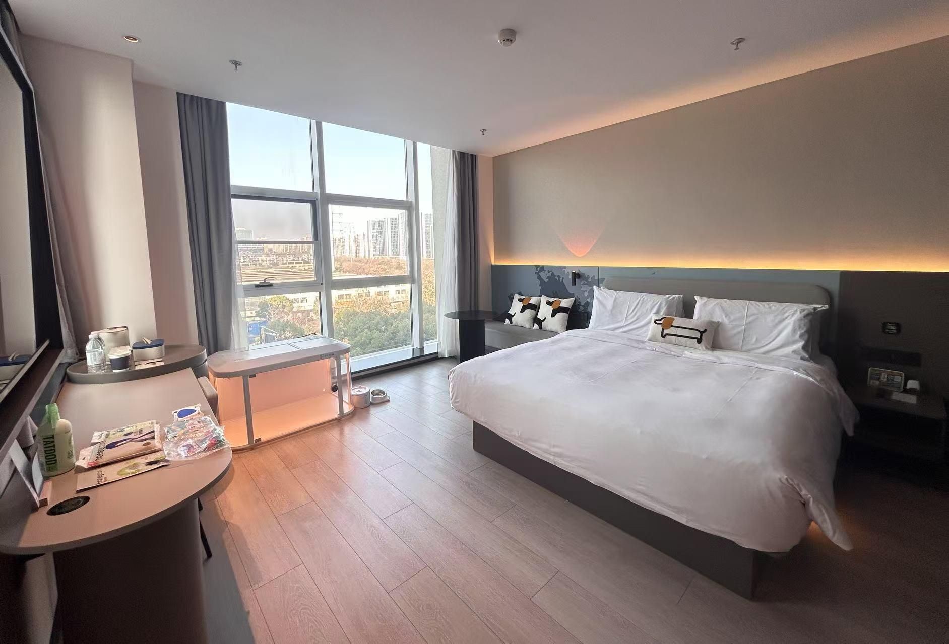 Pet Friendly - Dog Theme Room