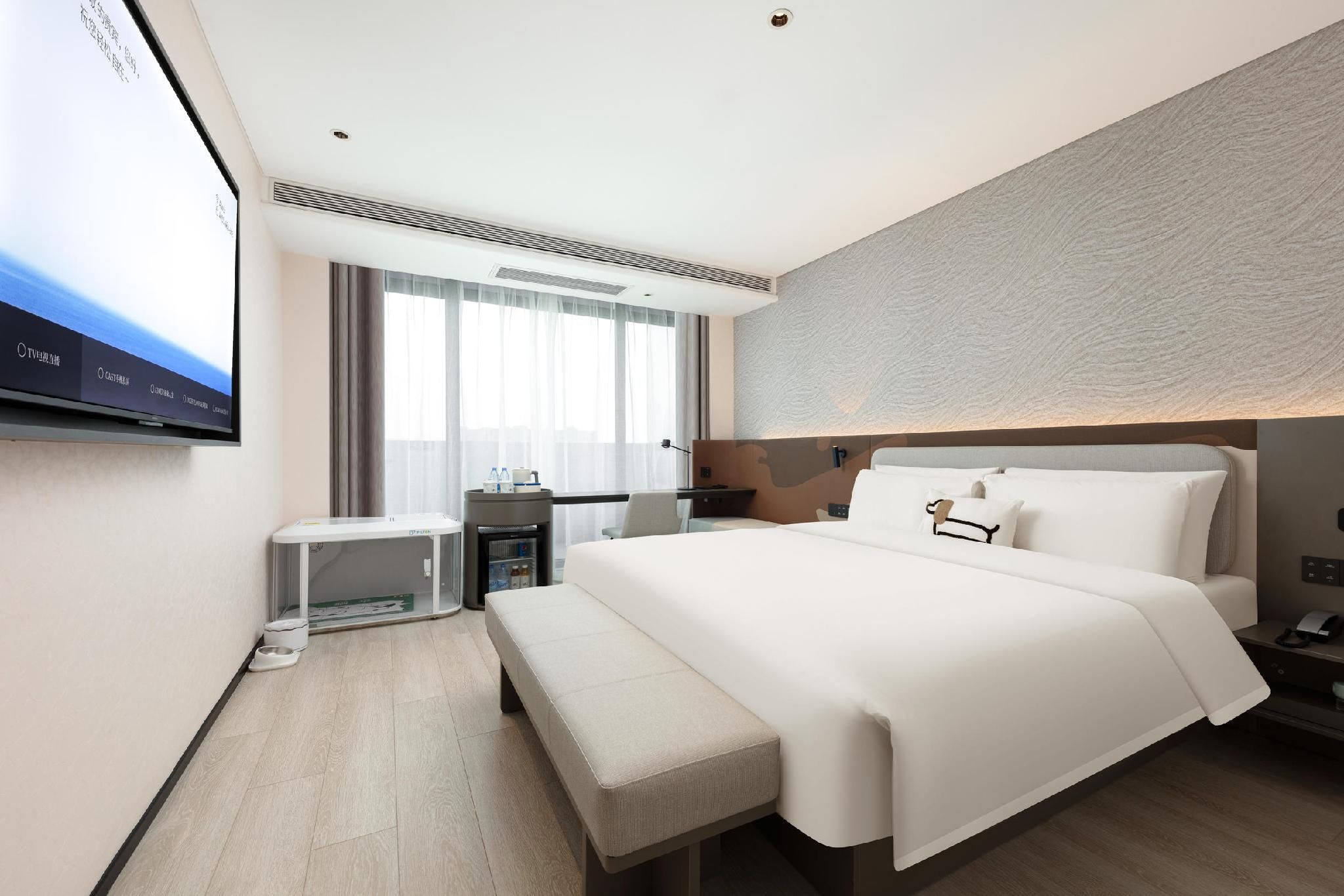 Pet Friendly - Dog Theme Room