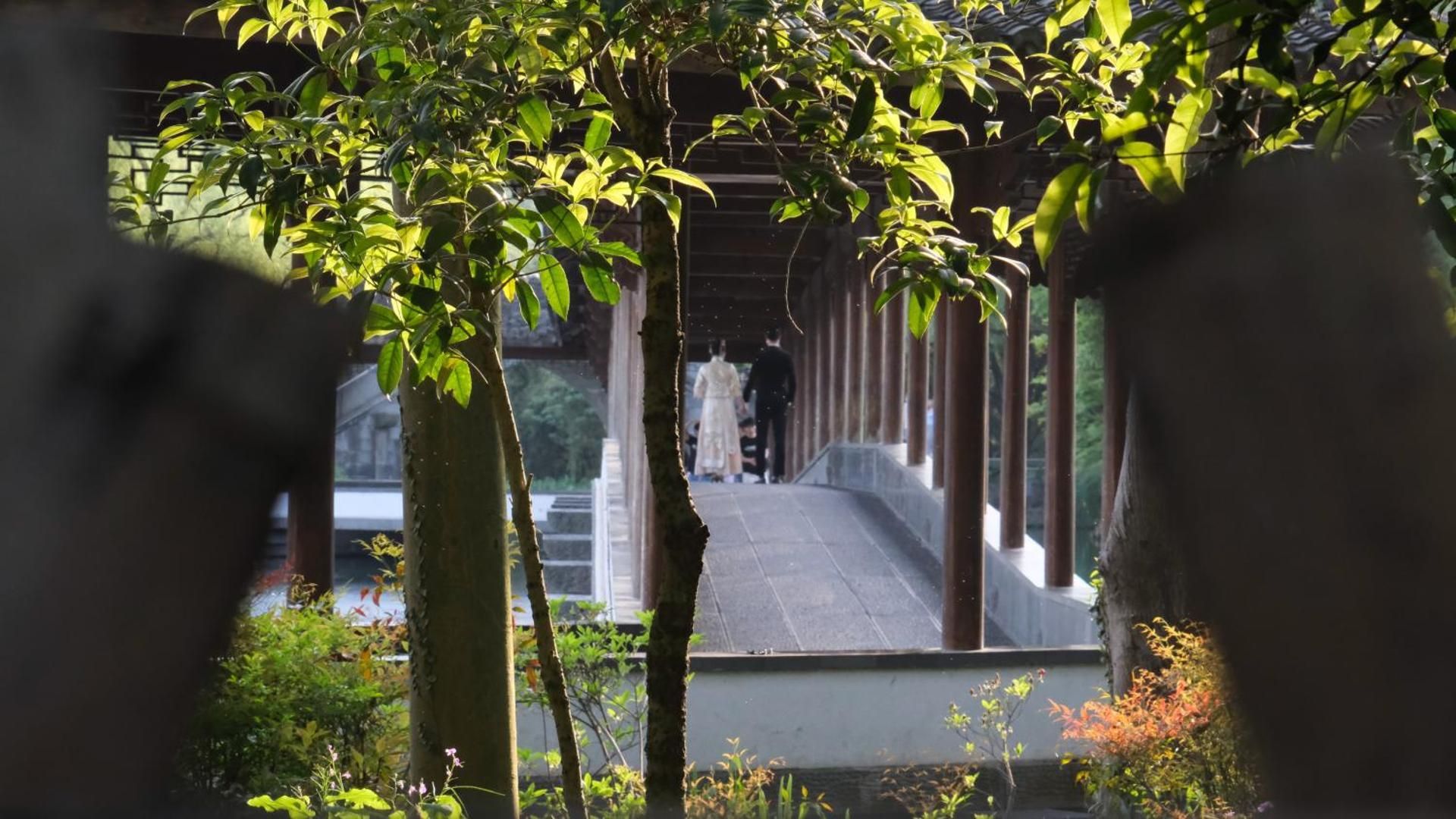 surrounding environment