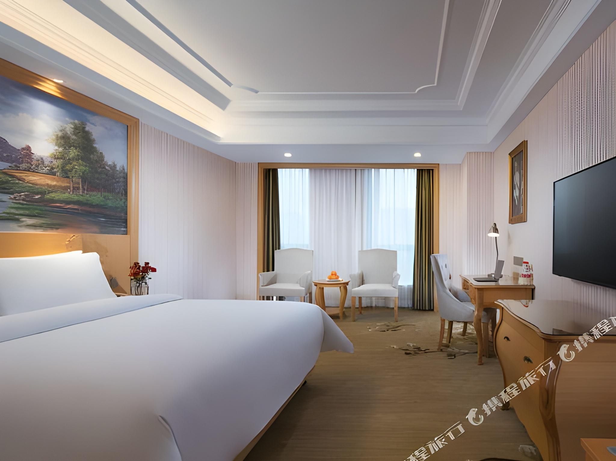 Vienna - Executive Room for 2 Guests