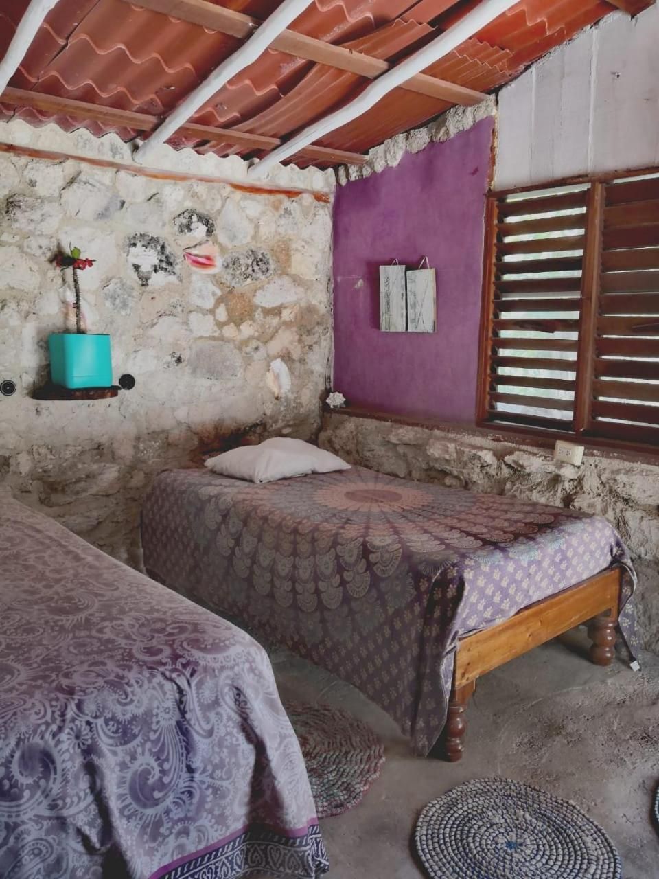 Standard Twin Room with Garden View
