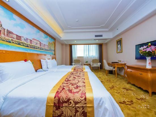 Vienna - Business Room for 2 Guests