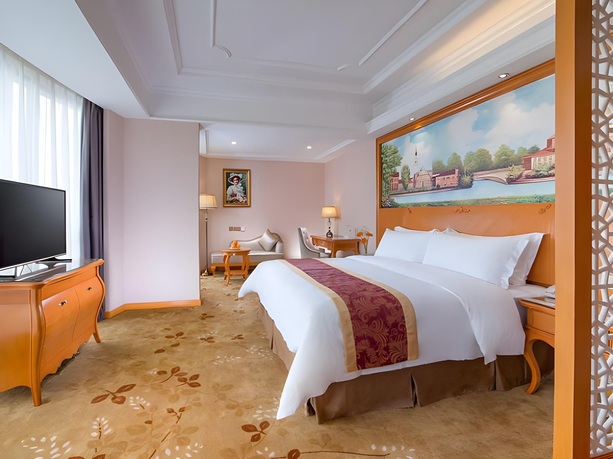 Vienna - Deluxe Single Bed Room
