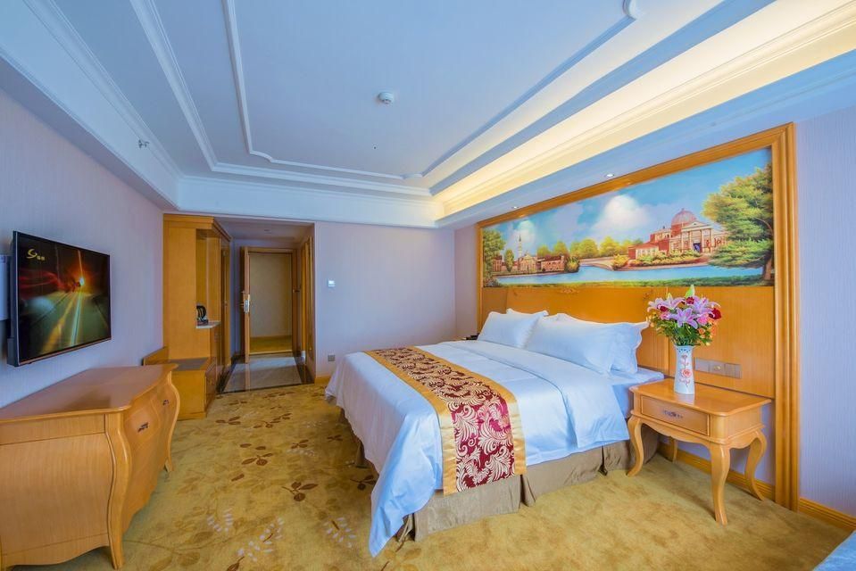 Vienna - Deluxe Single Bed Room