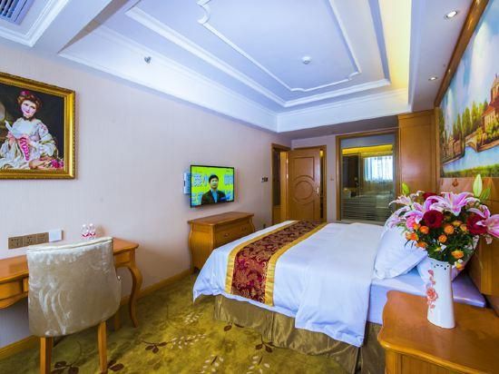 Vienna - Functional Suite Room