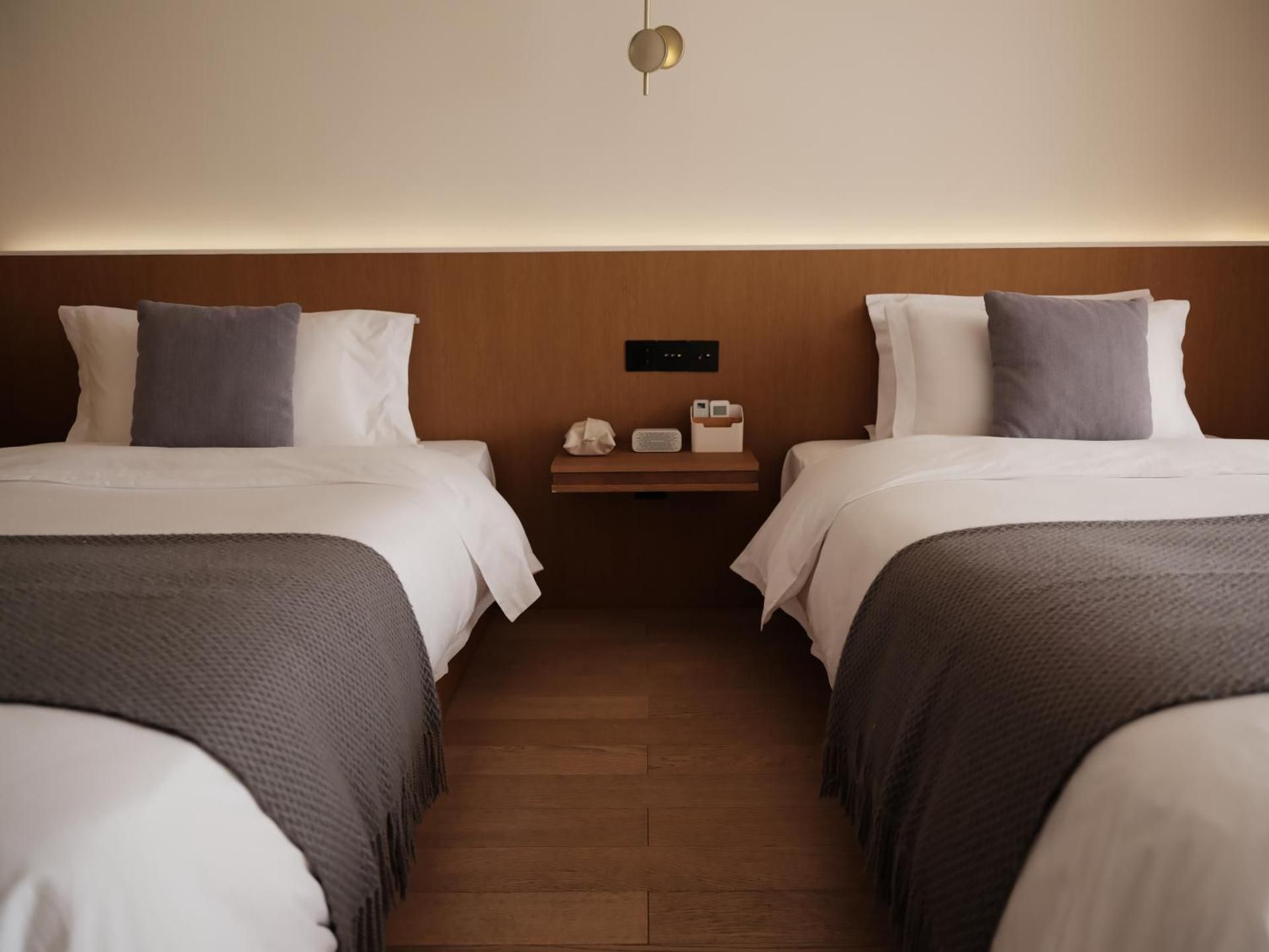 Premium Mountain View Twin Room