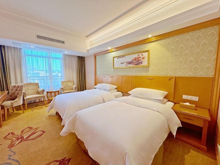 Vienna - Deluxe Room