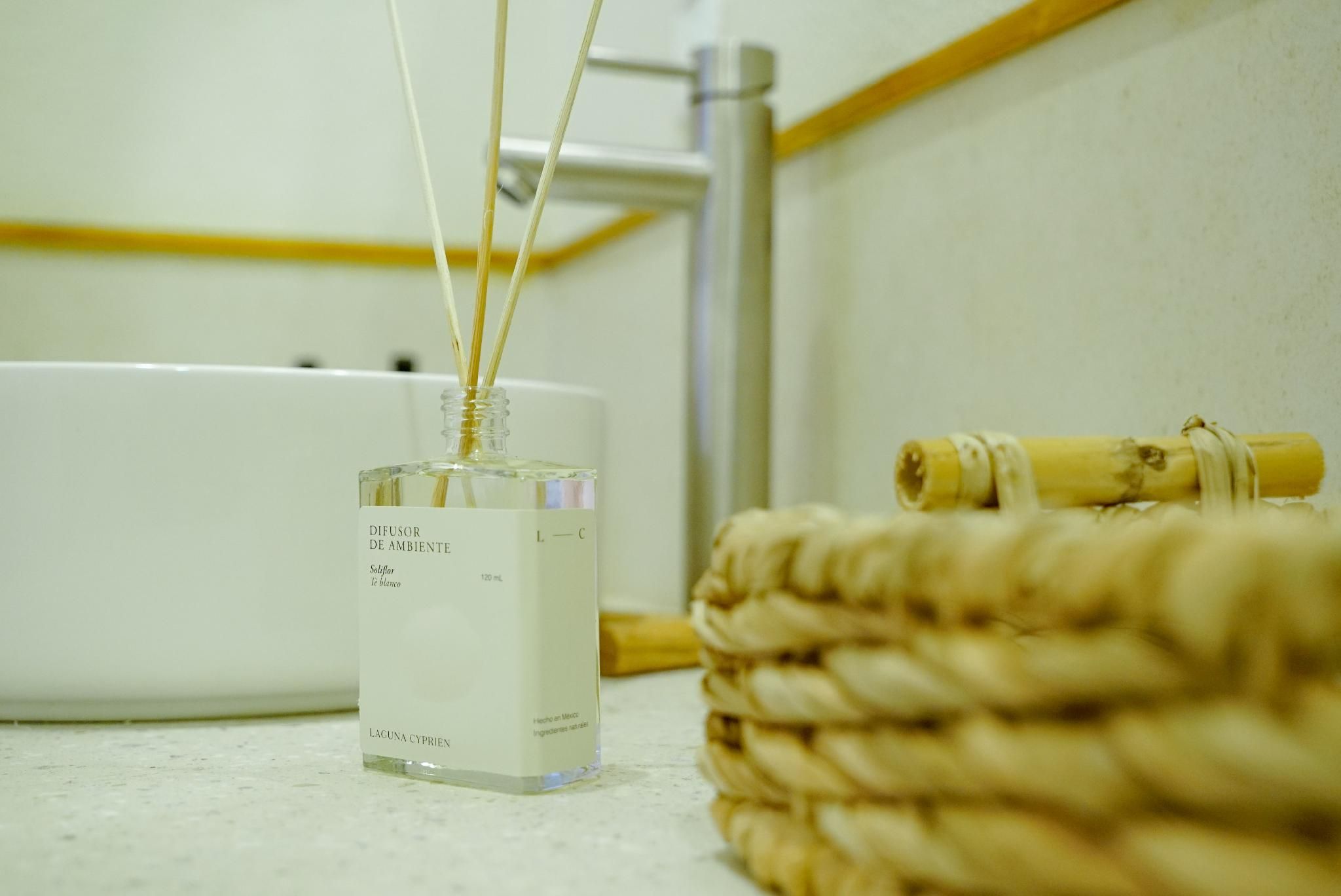 Hotel Tepalcates Deluxe Suite 2