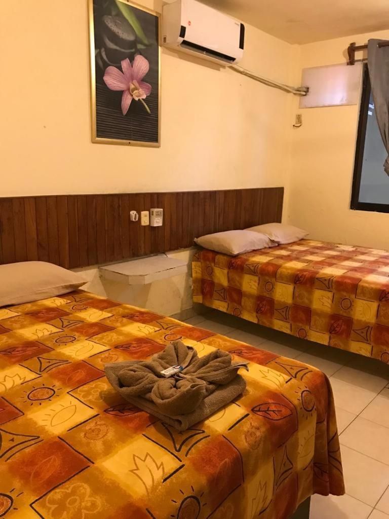 Budget Twin Room