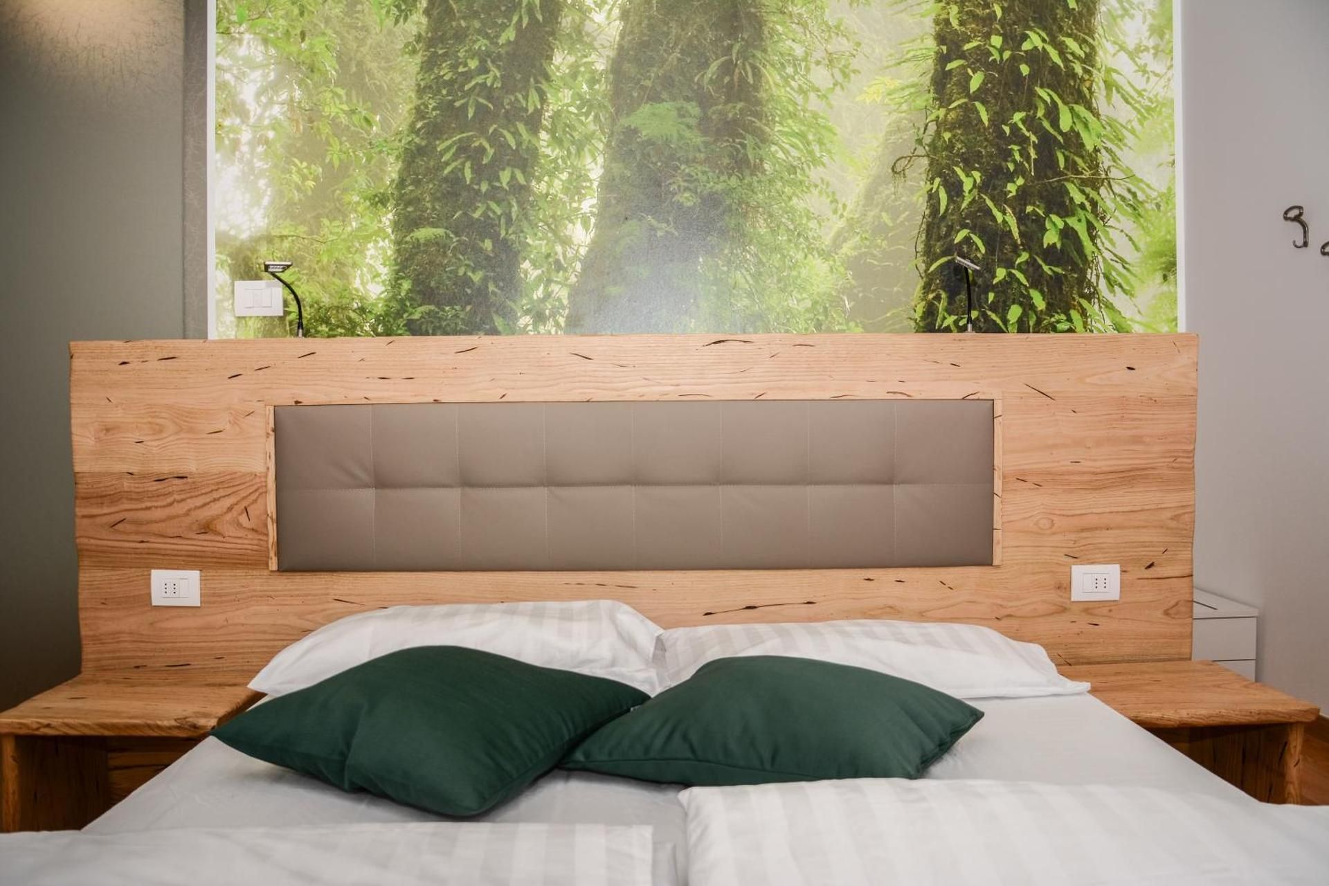 Deluxe Double or Twin Room with Lake View